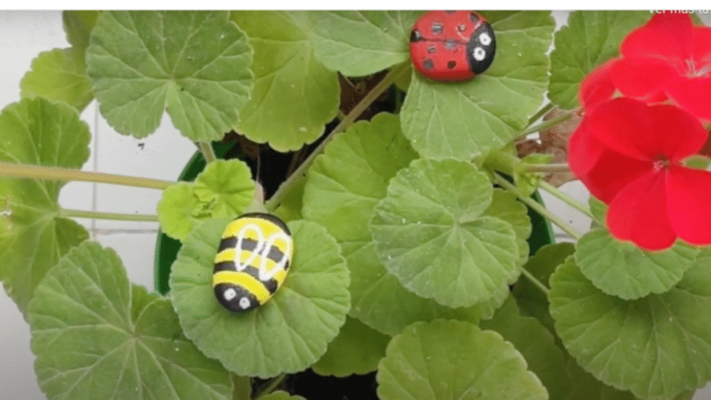piedras planas pintadas como mariquitas sobre un geranio