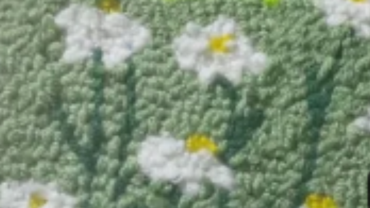 Punch Needle de Margaritas en un Campo Verde: Naturaleza Bordada con Relieve