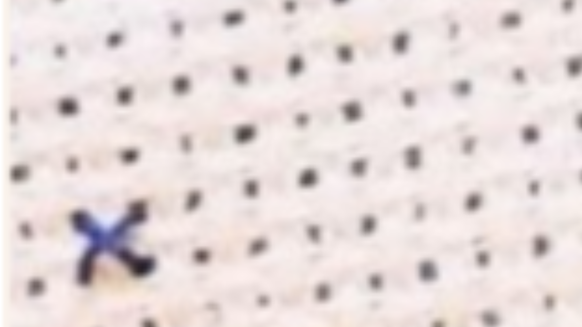 Cómo Hacer Cruces Sueltas en Punto de Cruz Estilo Confeti