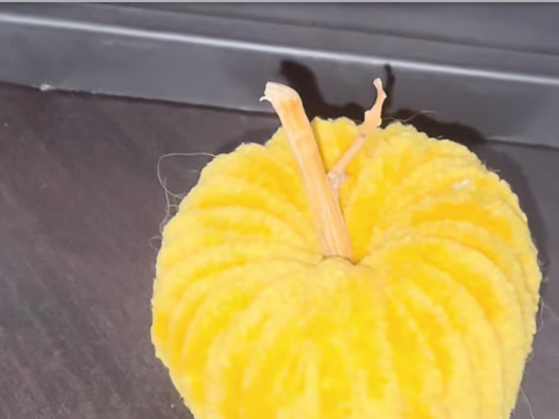 calabaza con lana naranja